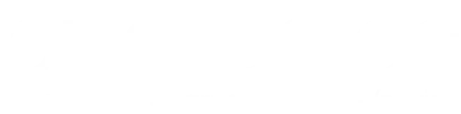 buntsales Logo in weiß