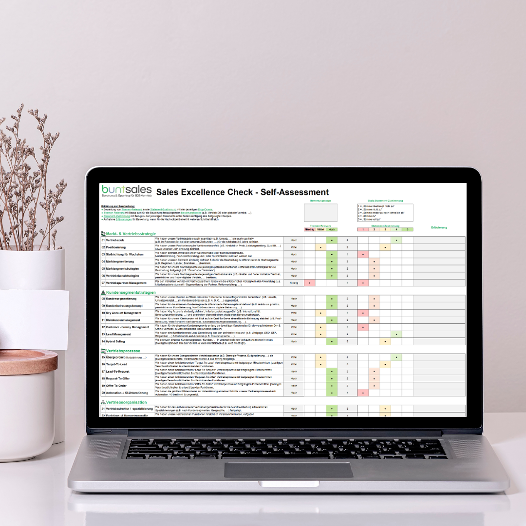 buntsales - Sales Excellence Check - Mockup für Website